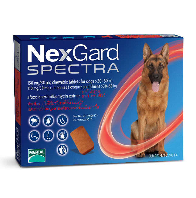 canine spectra 10