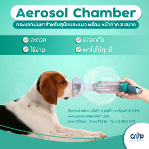 Aerosol Chamber